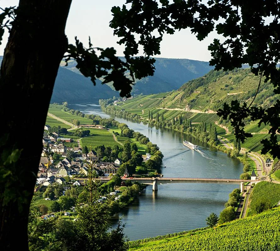 La ville de Besançon à la loupe